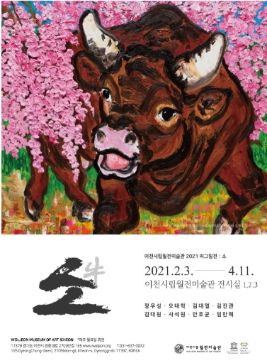 소.jpg