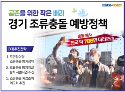 조류.jpg