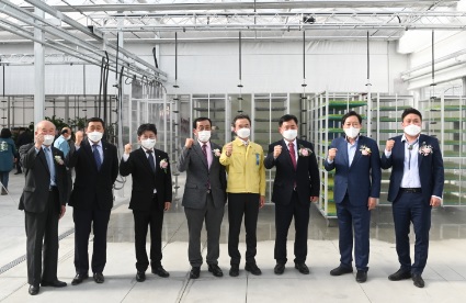 벼.jpg