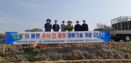해들.jpg