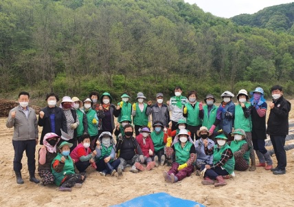 고구마.jpg