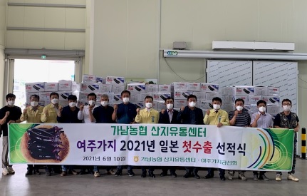 가지수출.jpg