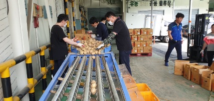 감자.jpg