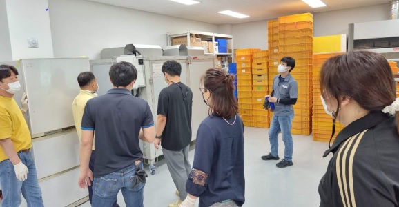 토양재배.jpg