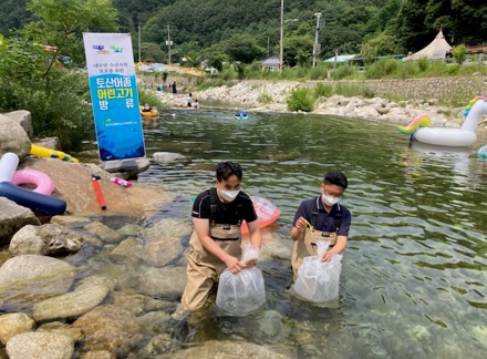 청정계곡.jpg