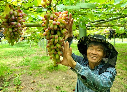체험농장.jpg
