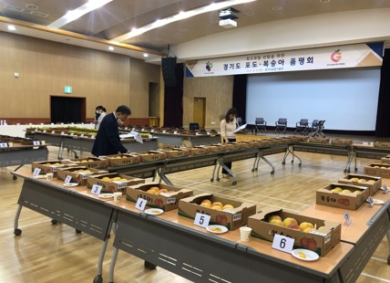 품평회.jpg