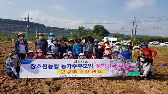 고구마수확.jpg