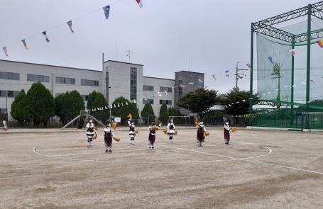 표교초.jpg
