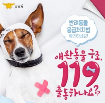 동물.jpg