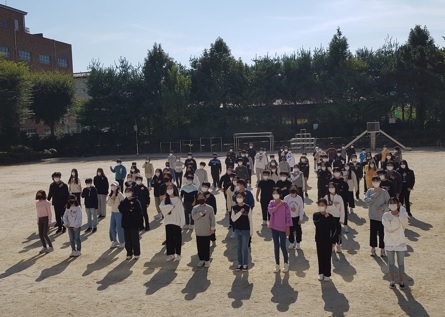 삼리초.jpg