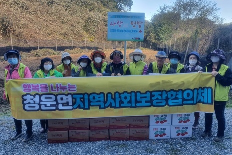 고구마수확.jpg