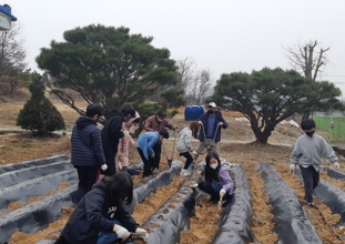송촌초.jpg