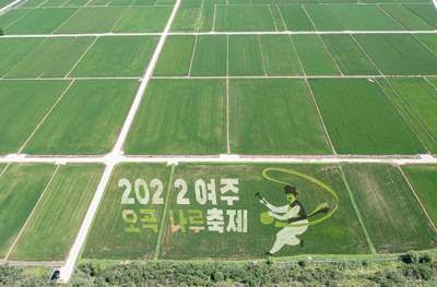 유색벼.jpg
