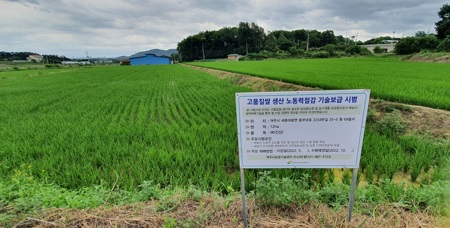 벼이삭거리.jpg