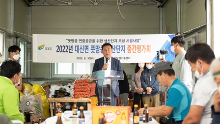 풋땅콩.jpg