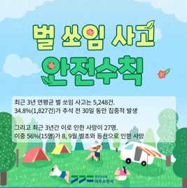 벌쏘임.jpg