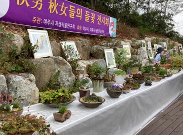 들꽃전시.jpg