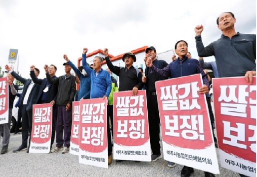 1면 사진.jpg