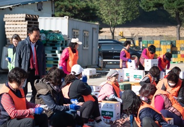 고구마.jpg