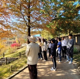 산림치유.jpg