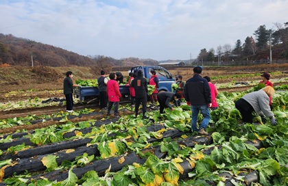 일손돕기.jpg