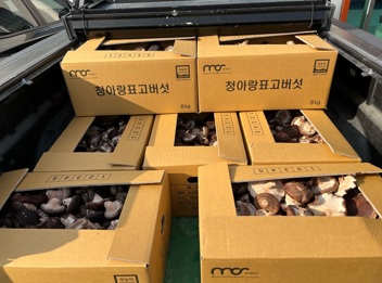표고버섯.jpg