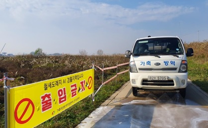 조류인플엔자.jpg