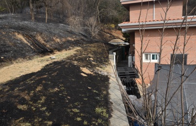 산림재해.jpg