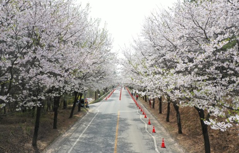 벗.jpg
