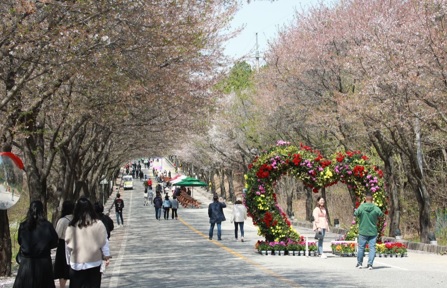 벛꽃축제.jpg
