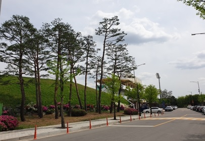 수목정비.jpg
