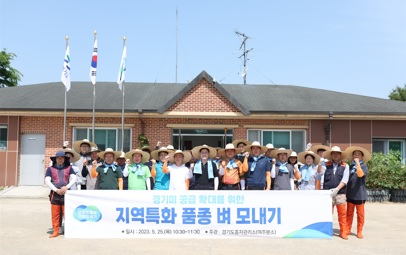 벼모내기.jpg