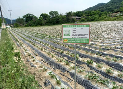 농산물재배.jpg