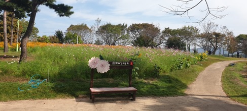 강변.jpg