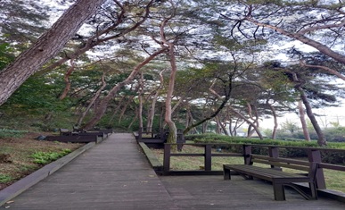 산림욕.jpg