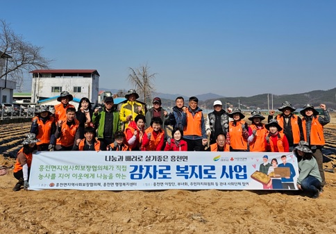 흥천감자.jpg