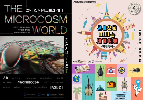 곤충.jpg