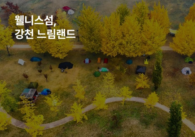 로컬관광.jpg