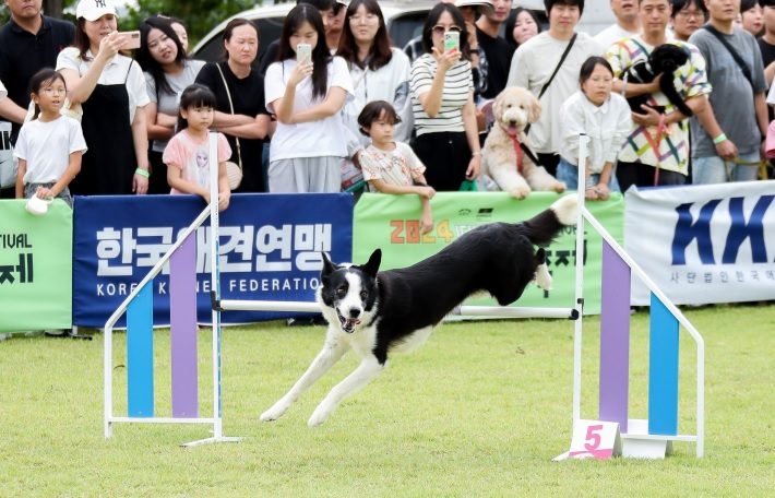 이천펫축제.jpg