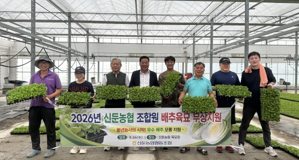 배추육묘.jpg