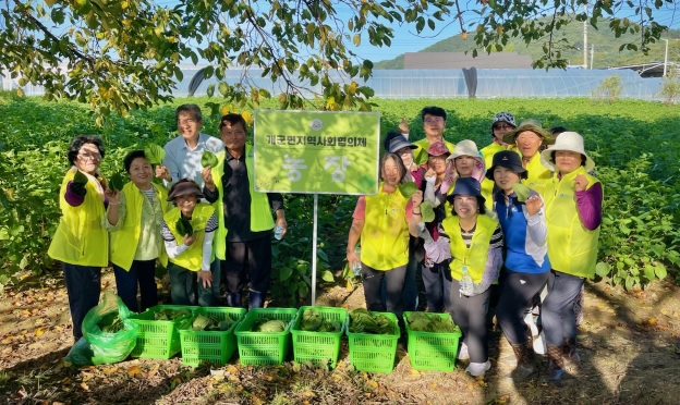 깨잎수확.jpg