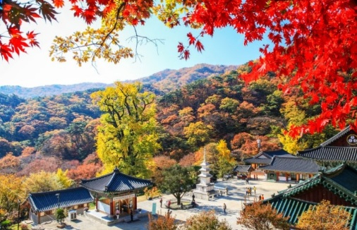 단풍명소.jpg