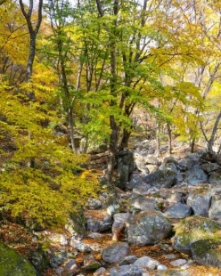 사나사.jpg