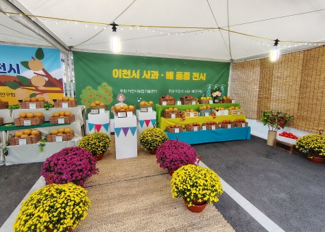 사과 배 품평회.jpg