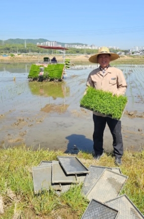 대월농협 첫 모내기로 농가 희망 가득