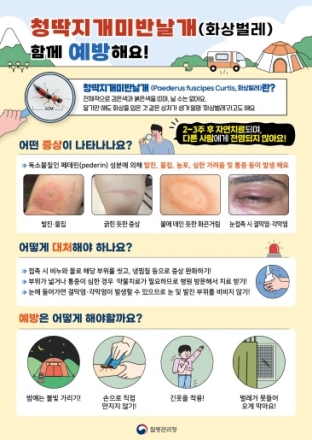 양평군, 닿기만 해도 화끈거리는 ‘화상벌레’ 주의 당부