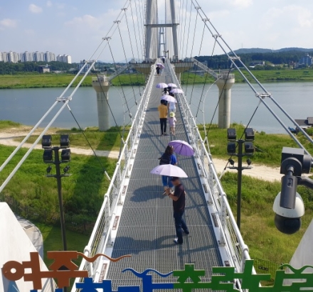 출렁다리에 물든 보랏빛 향연... 여주세종문화관광재단, 컬러 우산 운영
