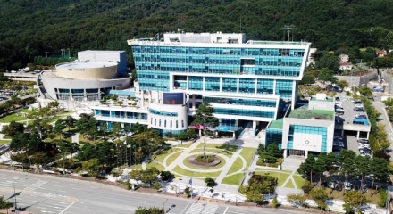 들러리 쇼핑 나무병원에 수의계약 몰아준 이천시
