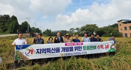 대월농협 지역 특산품 개발을 위한 토종 흰벼 수확